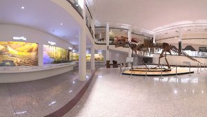 تور مجازی پارک موزه مشهد