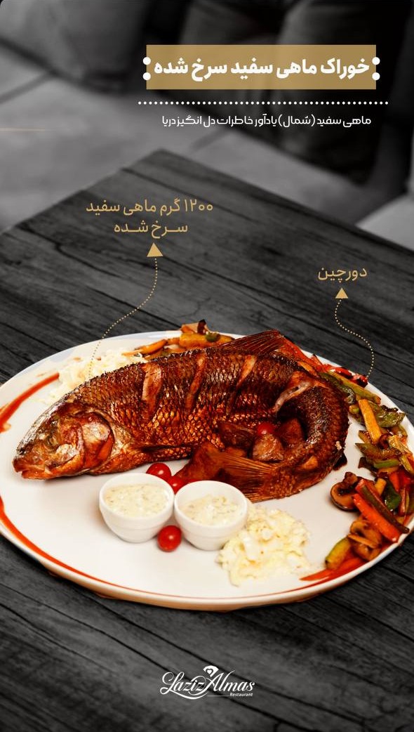 photo_2025-08-20_09-38-48